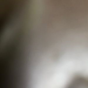 Meet your Posher, Bill